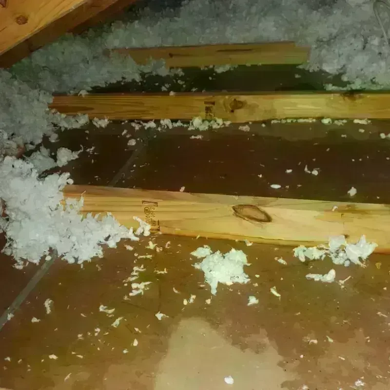 Best Attic Water Damage Service in Saint James, MD